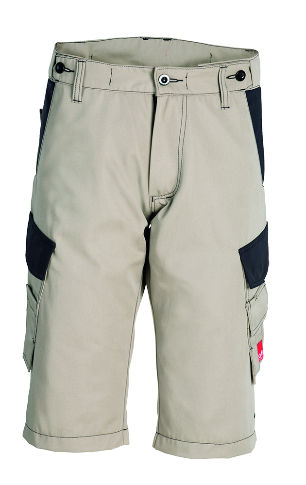 Shorts 2050 Teamwork sand/anthrazit