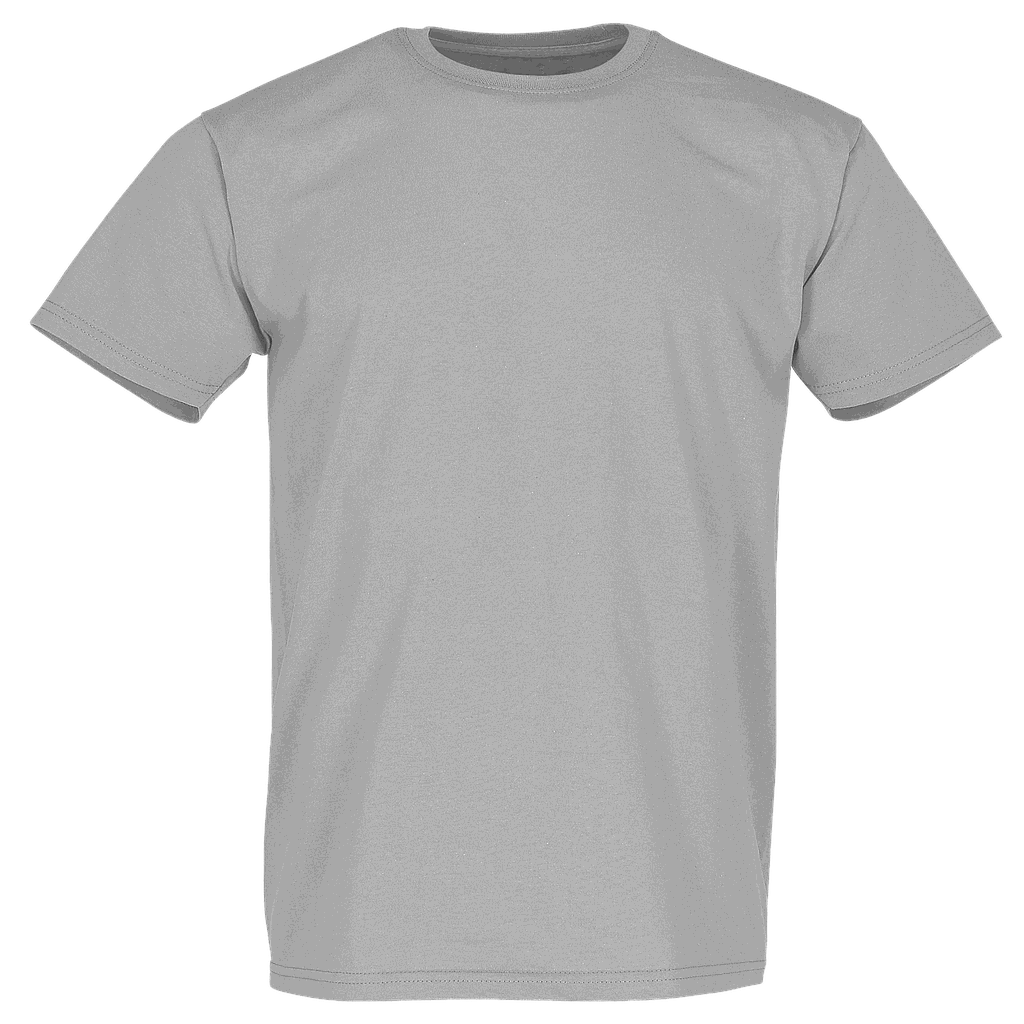 Fruit of the Loom Super Premium T zink