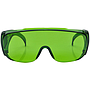Schutzbrille "Visitor", für Brillenträger, grün